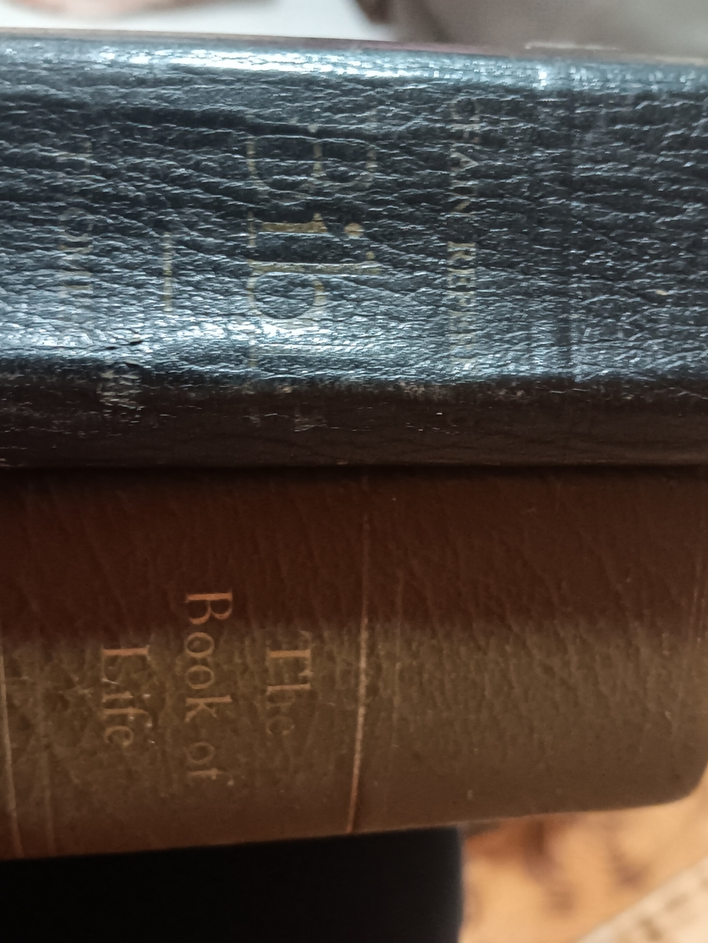 Vintage Leather-Bound Book Set - Black and Brown Covers